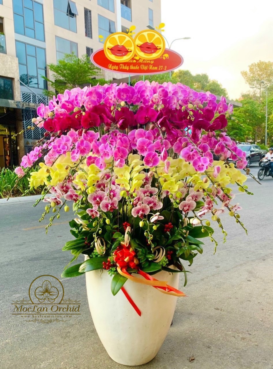 Lan Hồ Điệp Đại sảnh